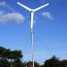 Hummer New 500W Wind Turbine Manufacturer ()