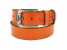 men's colored belts 2012 (men's colored belts 2012)
