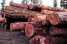 COCOBOLO WOOD, PADOUK WOOD, TEAK WOOD, ROSEWOOD ()
