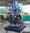 500T-A Animal salt block press machine ()