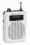 48w Portable Voice Amplifier V8 for Teaching,Tour,Outdoor