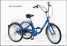 tricycle (трохколавы ровар)