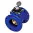 Removable Element Woltman Water Meter ()