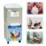 Soft Ice Cream Freezer BQL920 ()