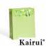 Relax Green Edge Folding Paper Shopping Bag KR1084-GREEN ()