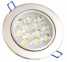 LED Ceiling Light ()