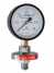 Diaphragm Seal Pressure Gauge ()