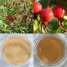 Rose hip Extract (Rose hip Extract)