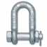 Forged Chain Shackle with Bolt Pin ()