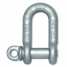 Forged Chain Shackle with Screw Pin ()