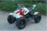 500W 36V Mini Electric 4 Wheeler, Electric Quad, Electric ATV For Kids ()