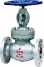 Carbon steel globe valve ()