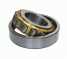 Cylindrical Roller Bearing (Cylindrical Roller Bearing)
