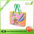 2013 Foldable Shopping Bag ()