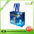 PP Promotional Non woven bag ()