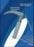 Laryngoscope Blades & Handles (Laryngoscope Blades & Handles)