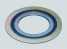 Spiral wound gasket