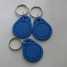 125KHZ/13.56MHZ Rfid Key Fob (125KHZ/13.56MHZ Rfid Key Fob)