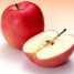 Apple Juice Powder-Polyphenols (Apple Juice Powder-Polyphenols)