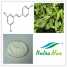 Giant Knotweed Extract(sales06@nutra-max.com) ()
