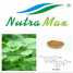 Ginkgo Biloba Extract 24%/6%/<1ppm(sales06@nutra-max.com)