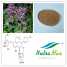 Horny Goat Weed Extract(sales06@nutra-max.com) ()