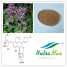 Horny Goat Weed Extract(sales06@nutra-max.com)