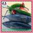 A Grade whole round frozen bonito of tuna fish ()