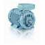 Johnson Standard Low Voltage DC Motor (Johnson Standard Low Voltage DC Motor)