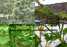 plant support net&mesh pea&bean net&mesh plastic netting wire mesh(factory)