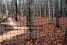 deer fence net&mesh plastic fencing net&mesh  plastic fence mesh fencing mesh sc