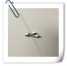 Hell System diamond engraving stylus without wing ()
