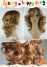 Synthetic wigs from E&A wig (Synthetic wigs from E&A wig)
