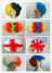 Cheap party wigs from E&A Wig (Cheap party wigs from E&A Wig)