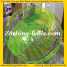 Water Zorbing, Walking Ball, Inflatable Water Ball www.zorbing-balls.com (Water Zorbing, Walking Ball, Inflatable Water Ball)