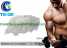 Testosterone Propionate Test Propionate Test Prop