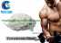 Sustanon 250 Testosterone Blend