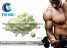Trenbolone Enanthate Tren Enanthate Tren Enth