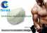 Testosterone Phenylpropionate