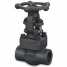 BS Flanged Gate Valve, CS, AS, SS ()