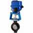 Electric Butterfly Valve, CS, SS, AS, 300LB ()