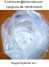 Testosterone Enanthate test Enanthate safe and secure ship to your hands (Testosterone Enanthate test Enanthate safe and secure ship to your hands)
