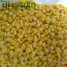 IQF sweet corn frozen sweet corn ()