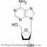 Cordycepin Cas No.: 73-03-0 HPLC >98% ()