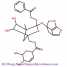 Benzoylpaeoniflorin Cas No.:38642-49-8 HPLC> 98% ()