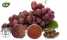 Grape Seed Extract (Grape Seed Extract)