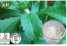 Stevia Leaf Extract (Stevia Leaf Extract)