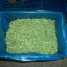 Top quality frozen green bean IQF green bean cut (Top quality frozen green bean IQF green bean cut)