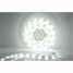 LED Flexible Strip IP67 SMD5050 30LED/m Natural White DC12V 6000K-7000K (LED Flexible Strip IP67 SMD5050 30LED/m Natural White DC12V 6000K-7000K)