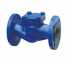 Check Valve ()